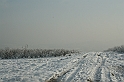 Przedwigilijny offroad 2007 005
